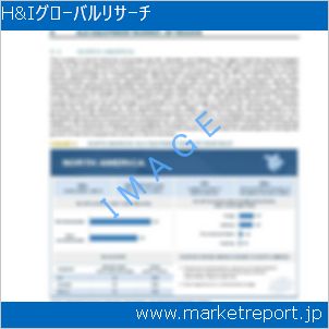市場と産業調査レポートのイメージ